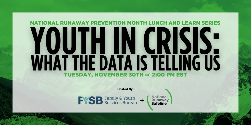 Youth In Crisis Lunch and Learn National Runaway Safeline